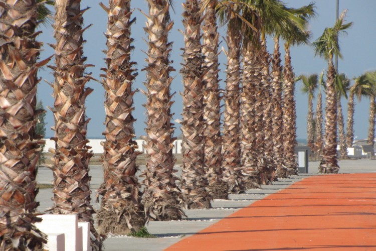 Georgia Black Sea Resorts