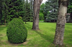 Tsinandali - Chavchavadze Museum