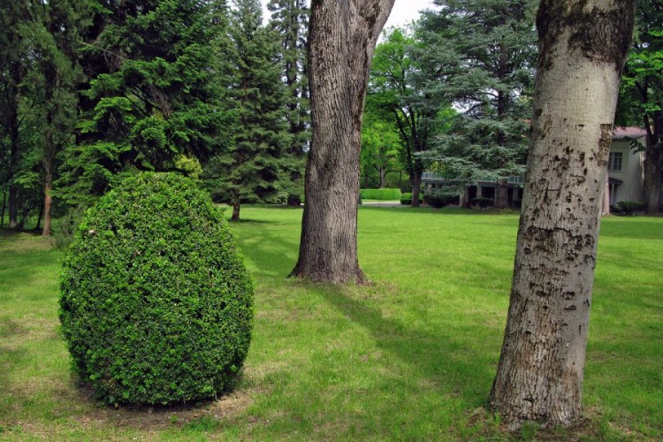 Tsinandali - Chavchavadze Museum