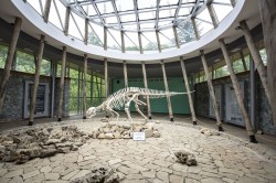 Sataplia Nature Reserve 2