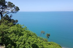 Tsikhisdziri & Chakvi