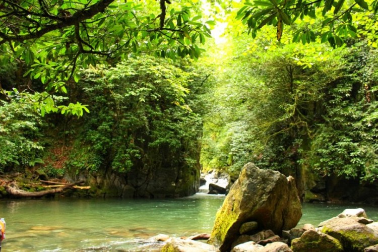 Mtirala National Park