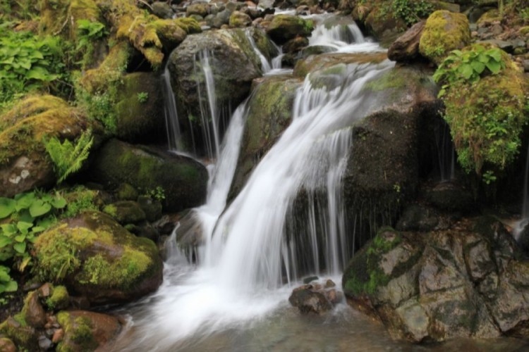 Mtirala National Park