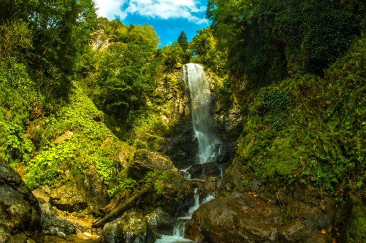 Mtirala National Park