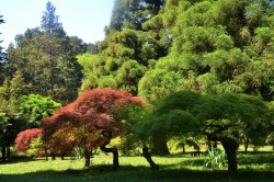 Batumi Botanical Garden - Adjara