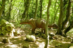 Sataplia Nature Reserve