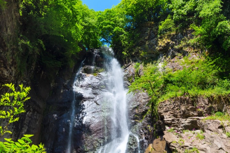 Mtirala National Park