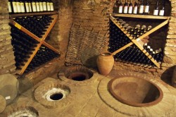 Pheasant’s Tears Cellar