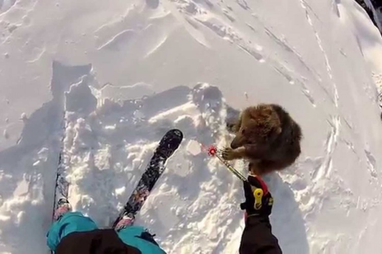 Mestia Ski Resorts - Tetnuldi and Hatsvali