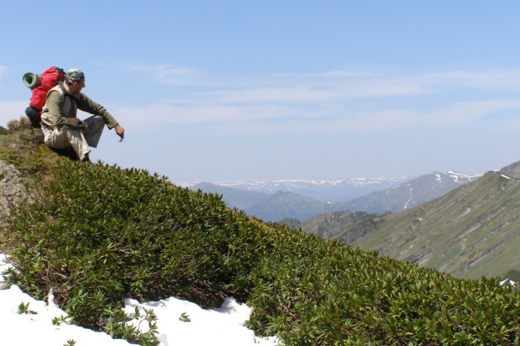 Borjomi-Kharagauli National Park