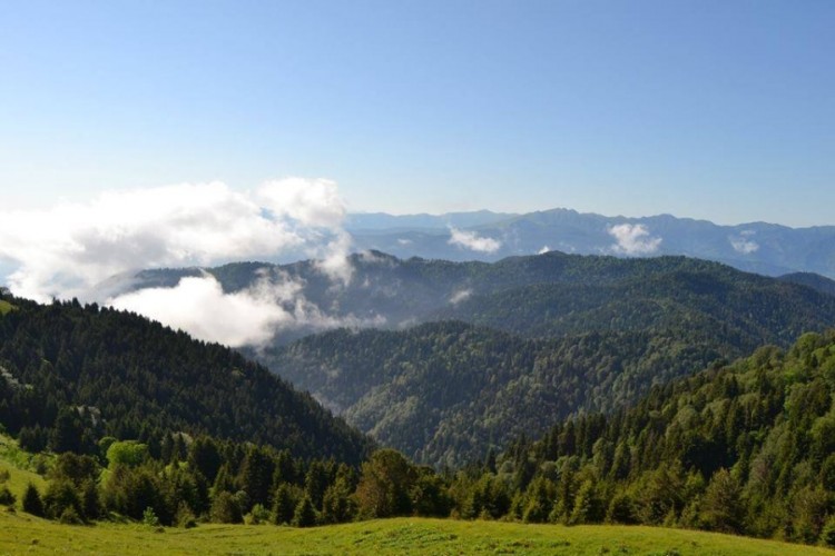 Borjomi-Kharagauli National Park