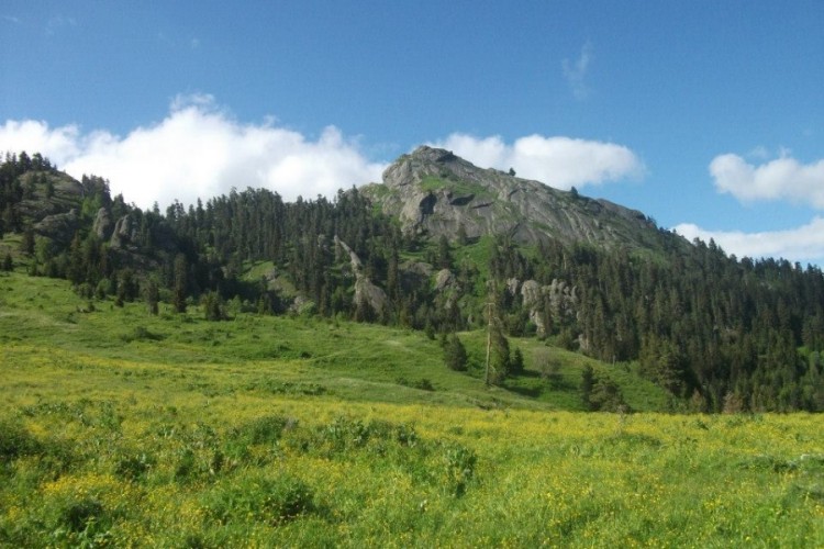 Borjomi-Kharagauli National Park