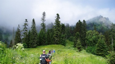 Borjomi-Kharagauli National Park
