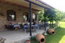 Iago’s Winery