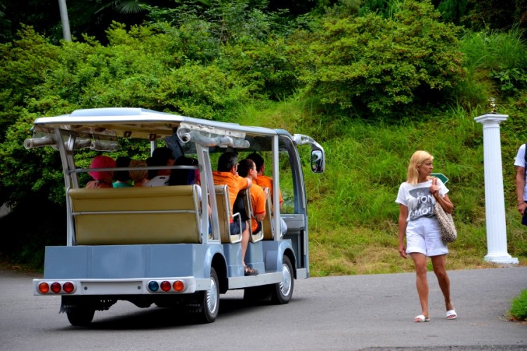 Explore Georgia Deeply - 11 Day Tour in Georgia