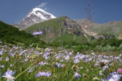 Georgian Mountains