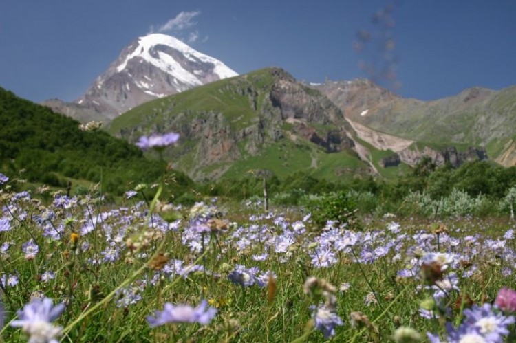 Georgian Mountains