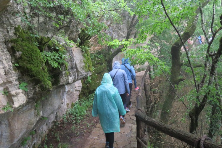 Sataplia National Reserve, Prometheus Caves Day Tour