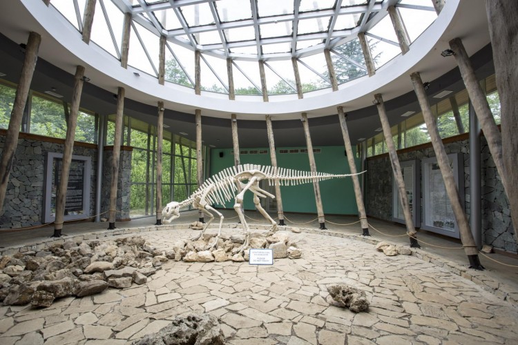 Sataplia National Reserve