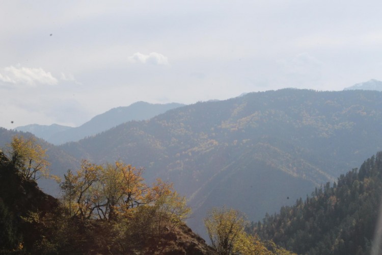 Borjomi Kharagauli National Park