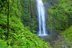 Makhuntseti waterfalls
