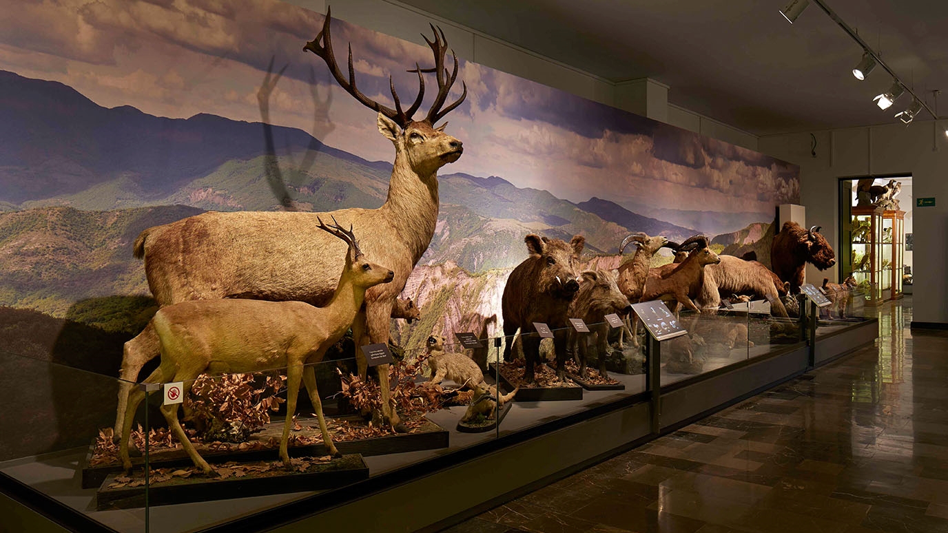 Georgian National Museum