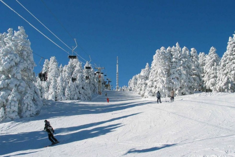 Bakuriani Holiday Package 4 Days