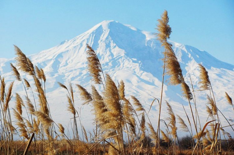 Ararat Region