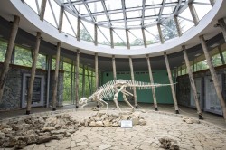 Sataplia and Prometheus Caves Group Tour