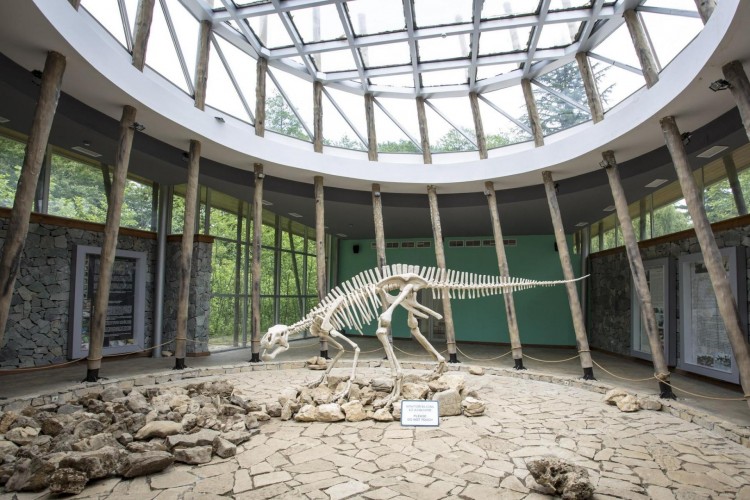 Sataplia and Prometheus Caves Group Tour