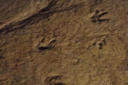 Sataplia and Prometheus Caves Group Tour