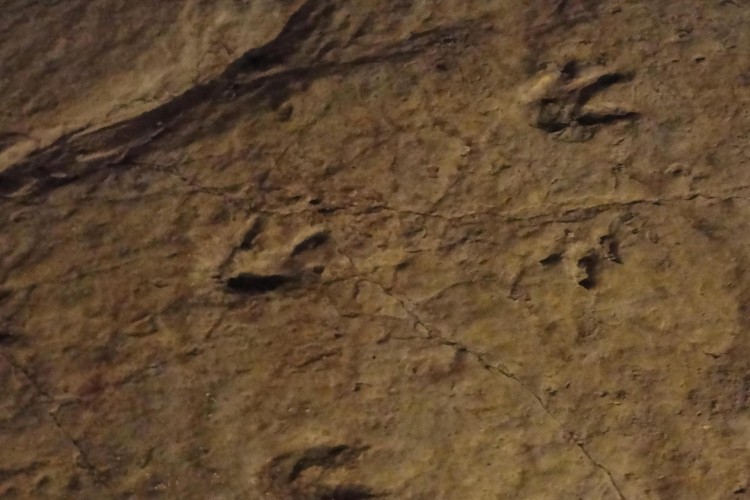 Sataplia and Prometheus Caves Group Tour