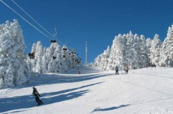 Bakuriani Holiday Package