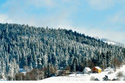 Bakuriani Holiday Package 4 Days