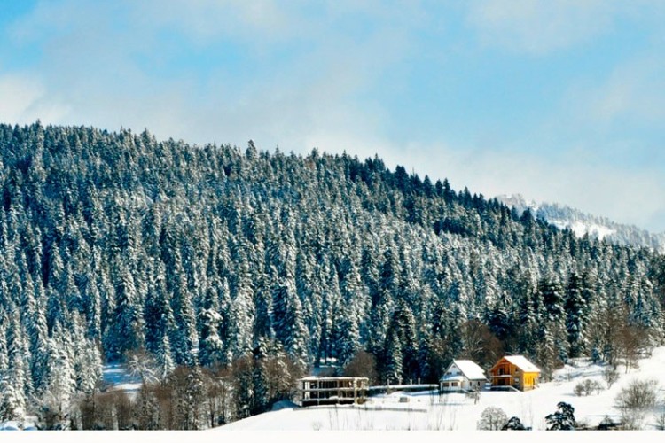 Bakuriani Holiday Package 4 Days